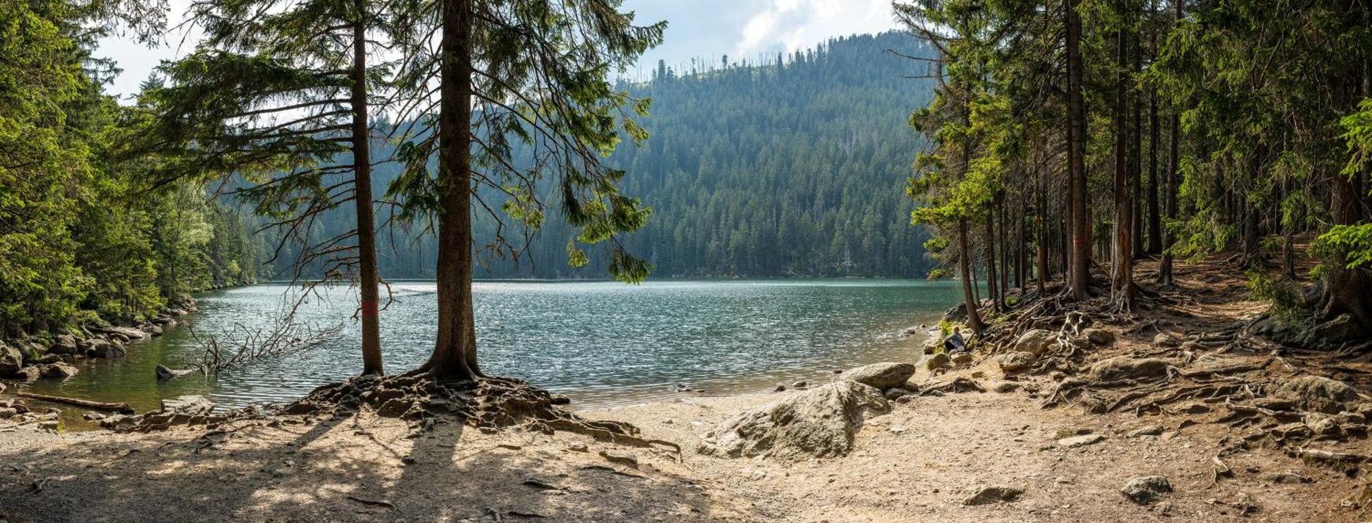 Apartmány Anička Železná Ruda Exterior foto